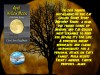 “Carol Ann Kauffman will keep us in suspense until the next book to the series is ready for us.” – April Yellow Moon (A Cat Collier Mystery 4) by Carol Ann&nbsp;Kauffman